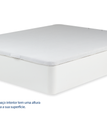 Bases rebativeis Wood